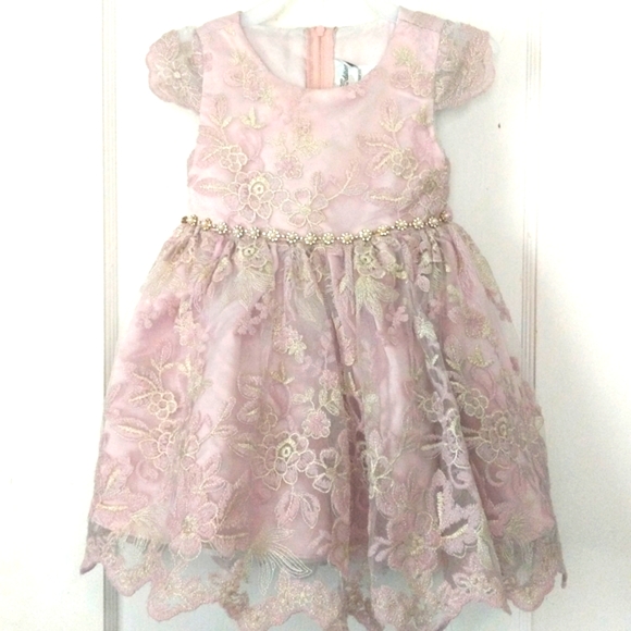Rare Editions Other - Rare Editions Toddler Girl Lace Dress